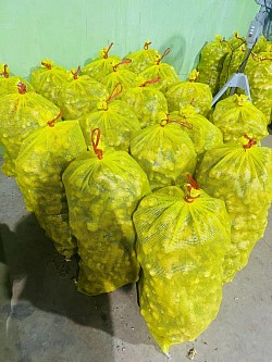Fresh and ready to sell, available in Thailand. Contact us. Friendly prices and service with a smile.
